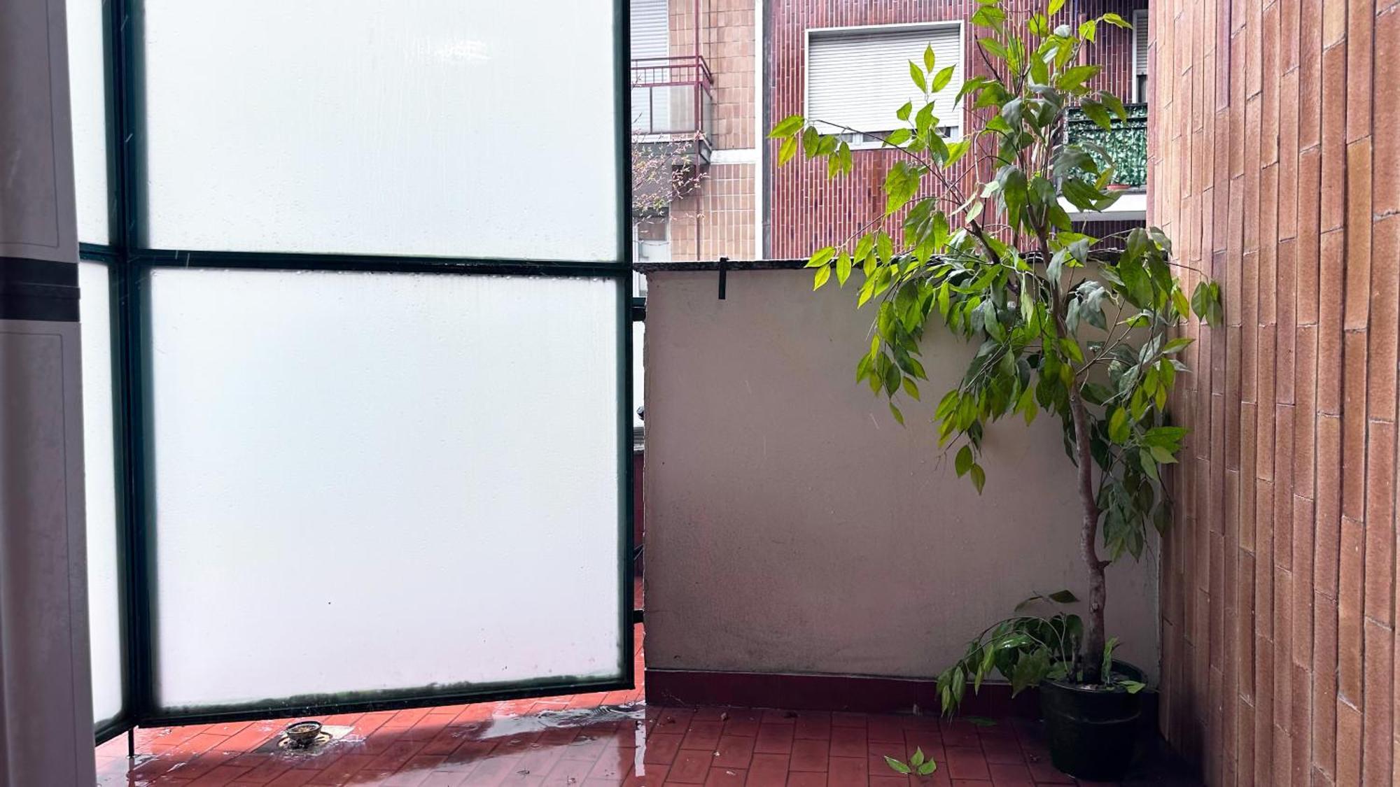 מילאנו Atene House מראה חיצוני תמונה
